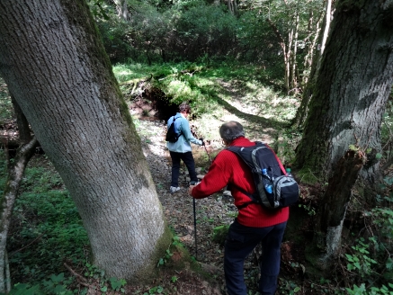 064-DSC02821 home fr seite wandern brenbachpfad