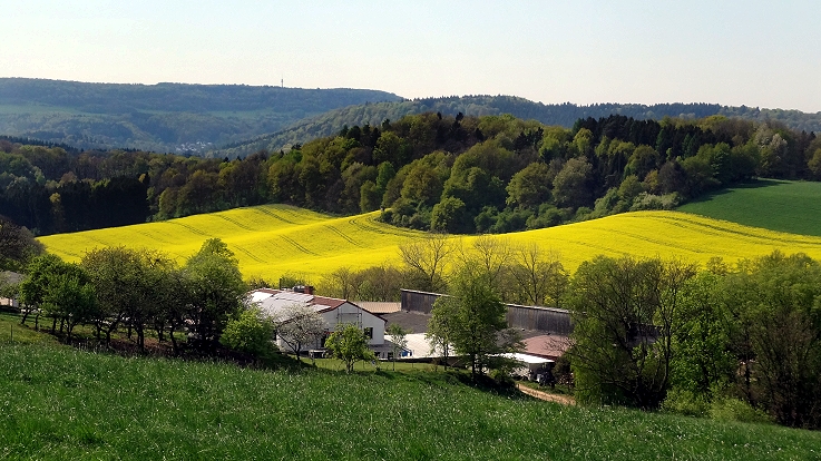 Blick auf einen Bauernhof mitten in der Landschaft  schmelzer runde 2014 DSC00065