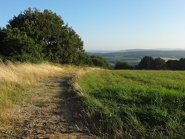 DSC07511 home fr seite wandern steinbachpfad