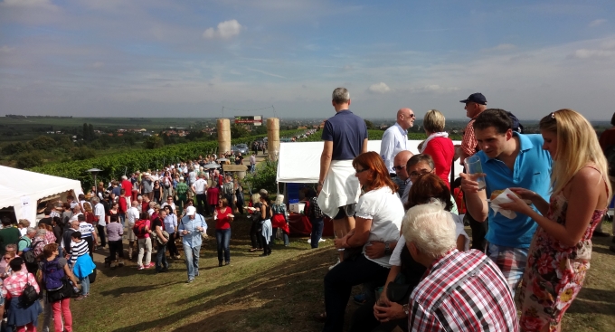 DSC08630 freinsheim weinwanderungsfest 2013