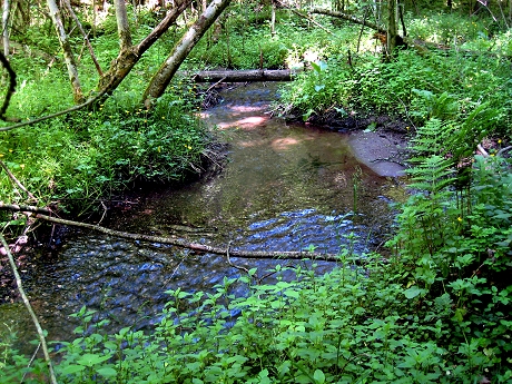 IMG_1496 home fr seite wandeern weg des wassers