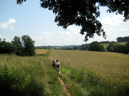 IMG_2075 home fr seite wandern 5-weiher-tour