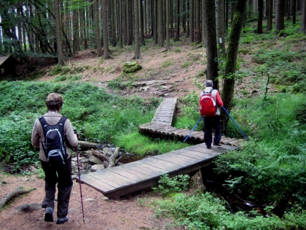 IMG_2430 home fr seite wandern felsenweg