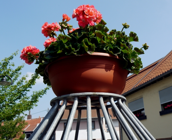 P1080495 home blumenschale auf brunnen im dreieck