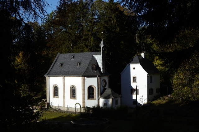 P1100410 home wendelinuskapelle von oben aus dem wald 2010