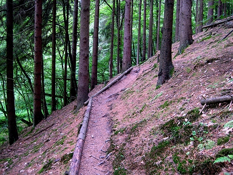 tiefenbachpfad bildchen fr seite wandern home IMG_1282