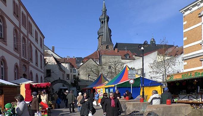 zelt home lustiges hasenleben